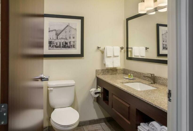 חדר סטנדרט עם מיטת קינג, Cobblestone Inn And Suites Ashland