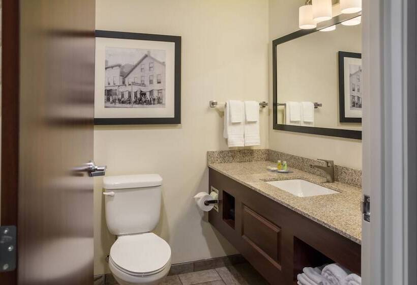 חדר סטודיו סטנדרד, Cobblestone Inn And Suites Ashland