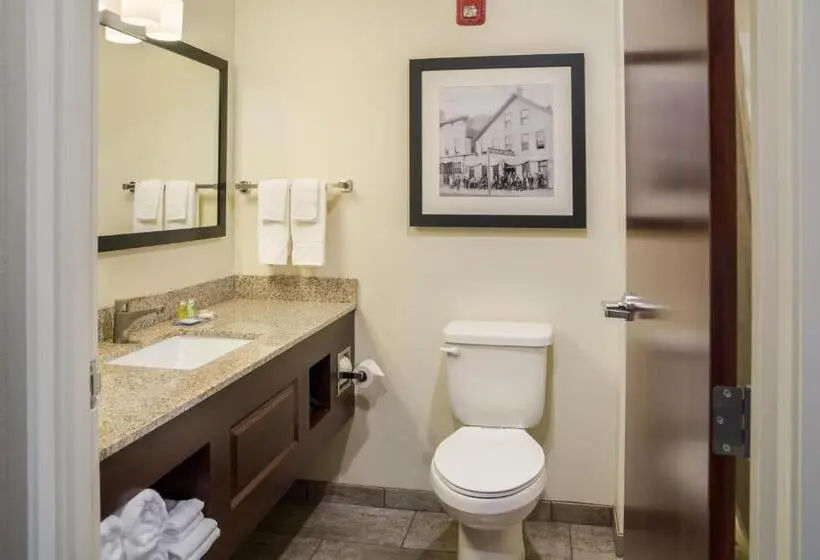 Standard-huone King-vuode, Cobblestone Inn And Suites Ashland