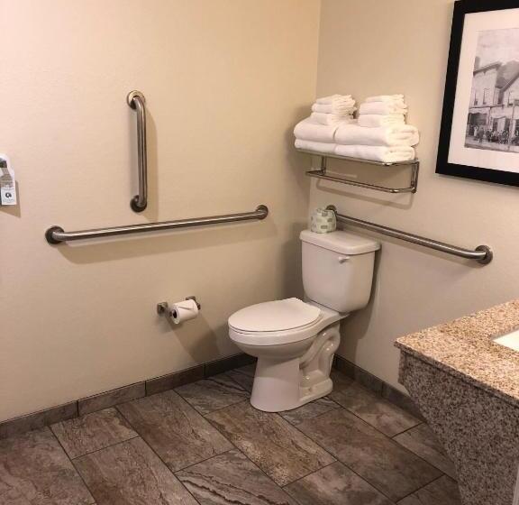 חדר סטנדרט מותאם לאדם עם מוגבלויות, Cobblestone Inn And Suites Ashland