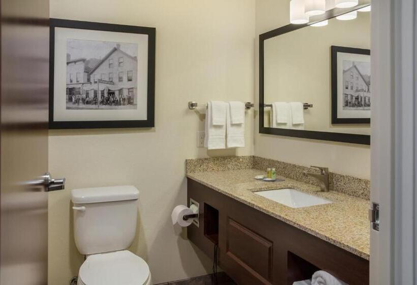 חדר סטנדרט מותאם לאדם עם מוגבלויות, Cobblestone Inn And Suites Ashland