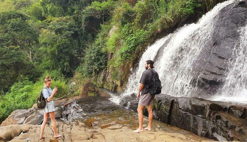 غرفة قياسية, Wood Heart