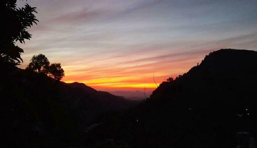 غرفة قياسية, Wood Heart