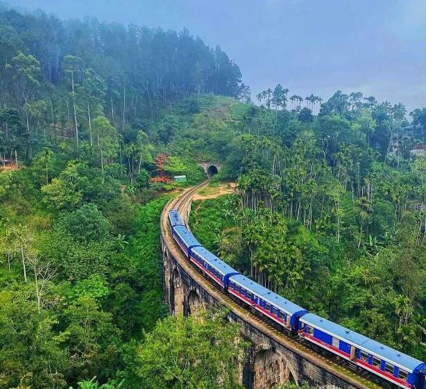 غرفة قياسية, Wood Heart