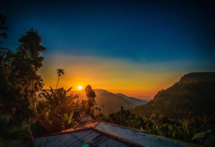 غرفة قياسية, Wood Heart