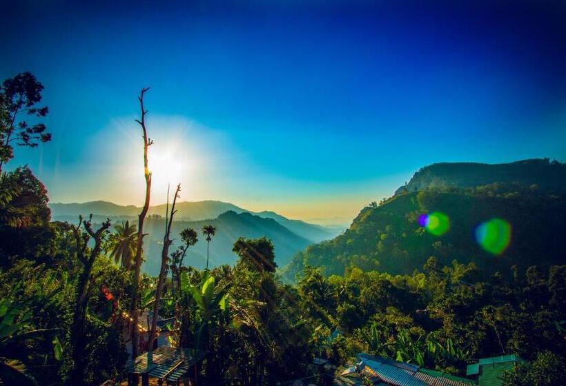 غرفة قياسية, Wood Heart