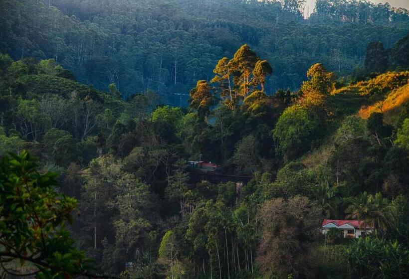 غرفة قياسية, Wood Heart