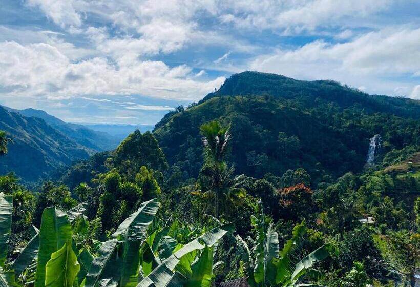 غرفة قياسية ثلاثية, Wood Heart