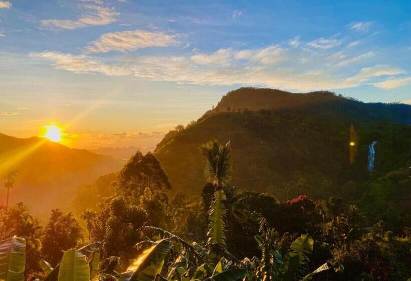 غرفة قياسية, Wood Heart