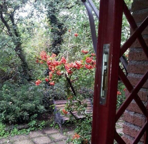 스탠다드 트리플 룸, Cirasellaetna