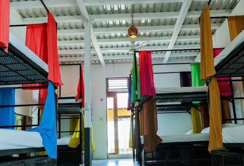 共用房间的床, Casa Oro Eco Hostel