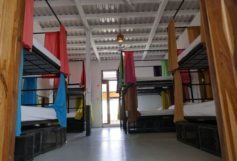共用房间的床, Casa Oro Eco Hostel