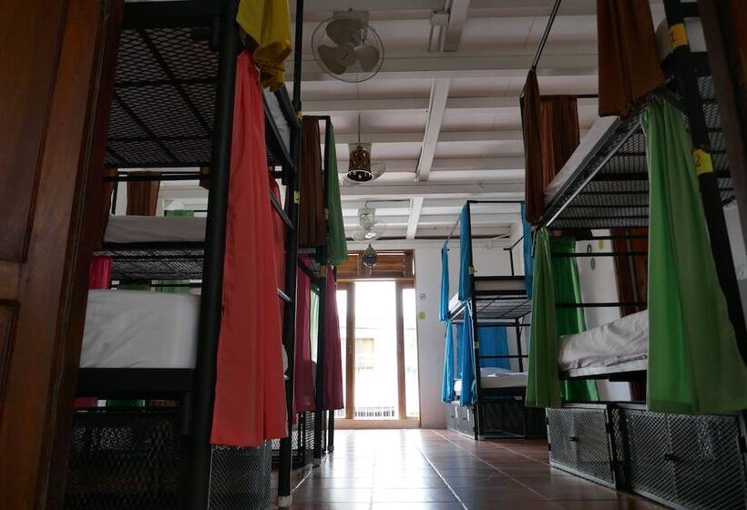 共用房间的床, Casa Oro Eco Hostel