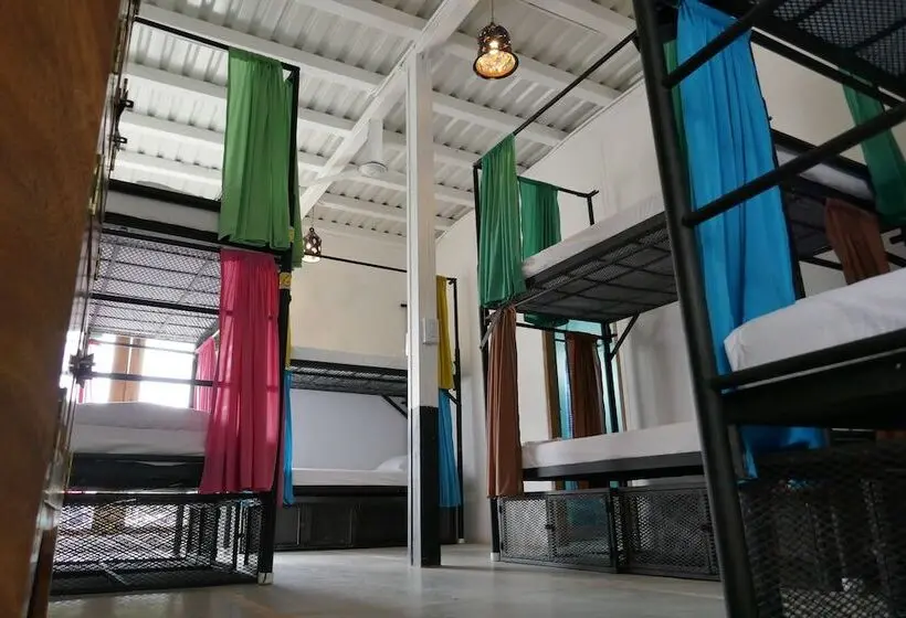 تختخواب در اتاق مشترک, Casa Oro Eco Hostel