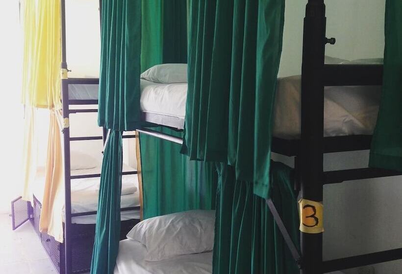 共用房间的床, Casa Oro Eco Hostel