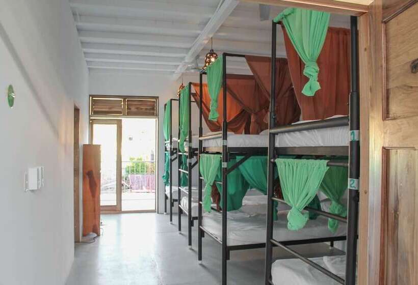 共用房间的床, Casa Oro Eco Hostel