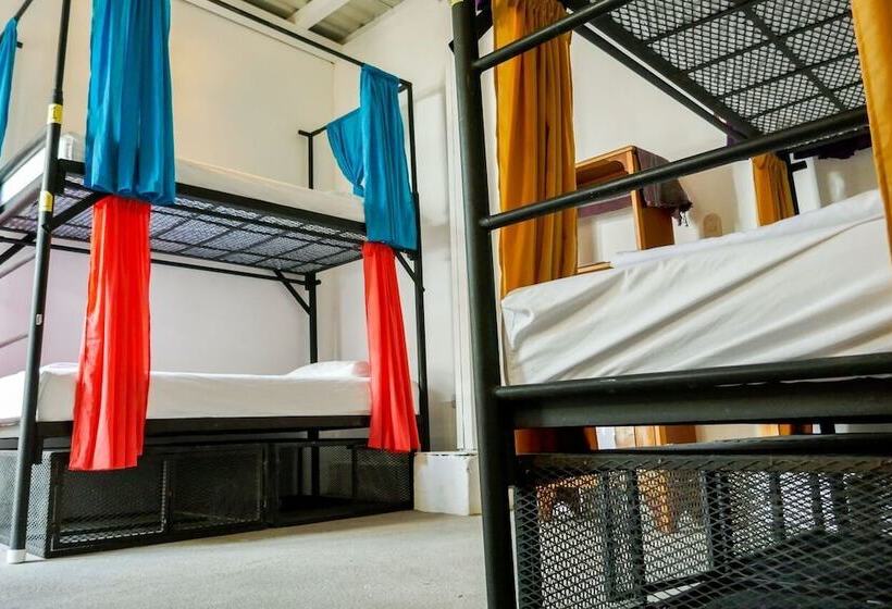 共用房间的床, Casa Oro Eco Hostel