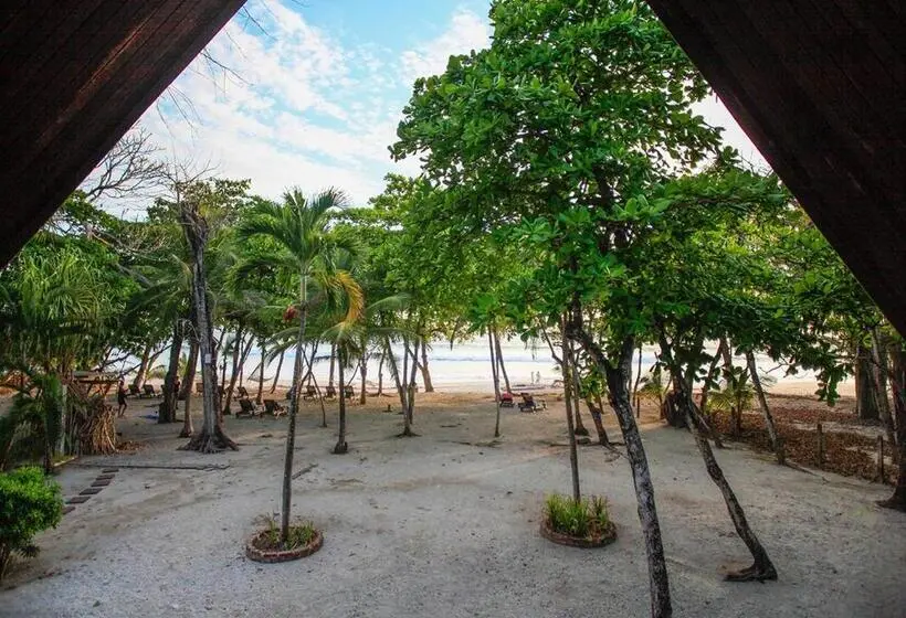 اتاق لوکس با بالکن و چشم‌انداز دریا, Casa Cecilia Beach Front