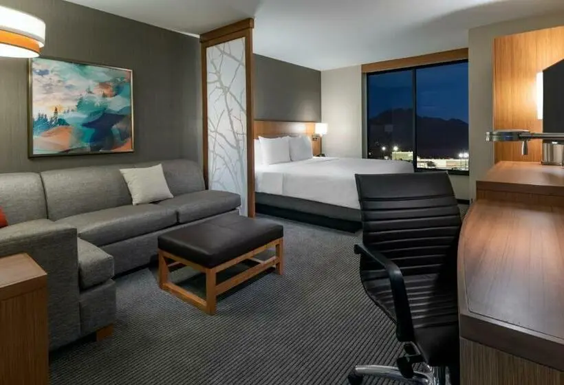 اتاق استاندارد با تخت بزرگ برای معلولان, Hyatt Place Provo