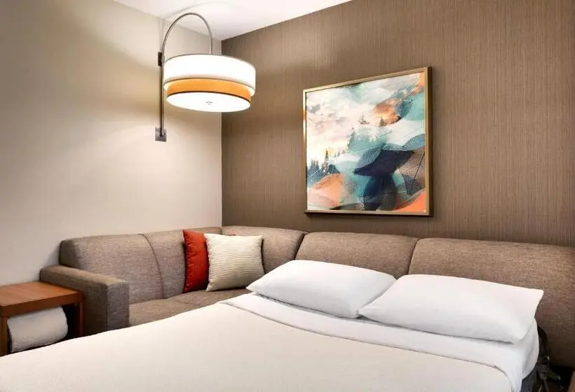 اتاق استاندارد با تخت بزرگ, Hyatt Place Provo