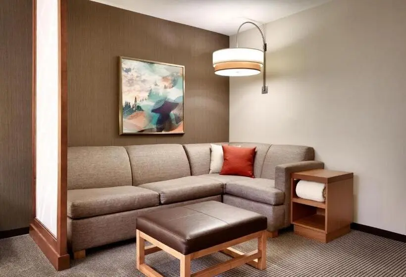 اتاق استاندارد با تخت بزرگ, Hyatt Place Provo