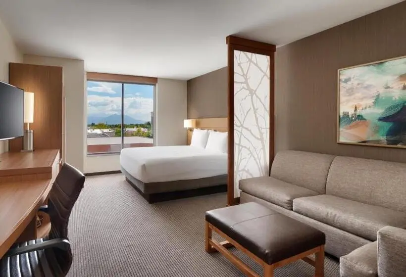 اتاق استاندارد با تخت بزرگ, Hyatt Place Provo