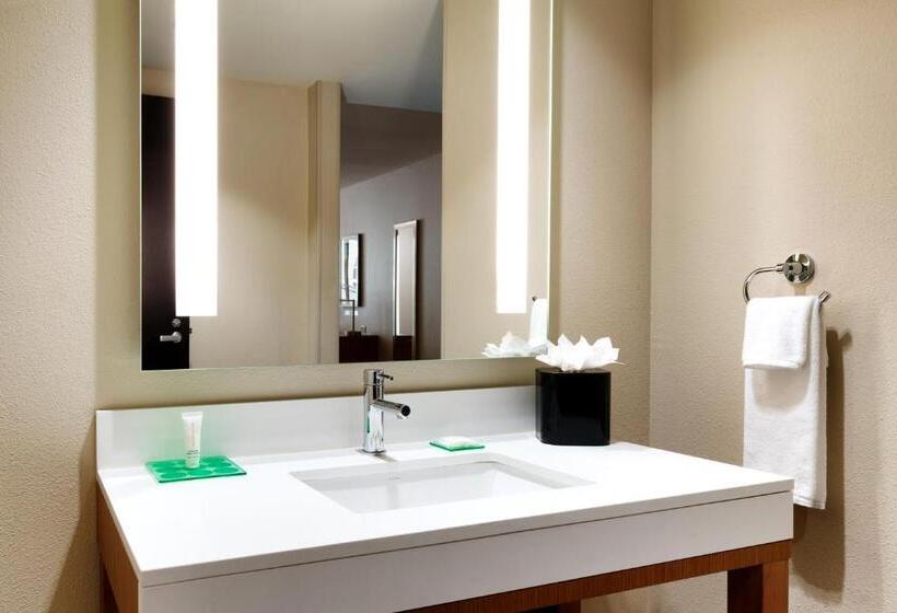 غرفة قياسية سرير كينج لذوى الإحتياجات الخاصة, Hyatt Place Provo