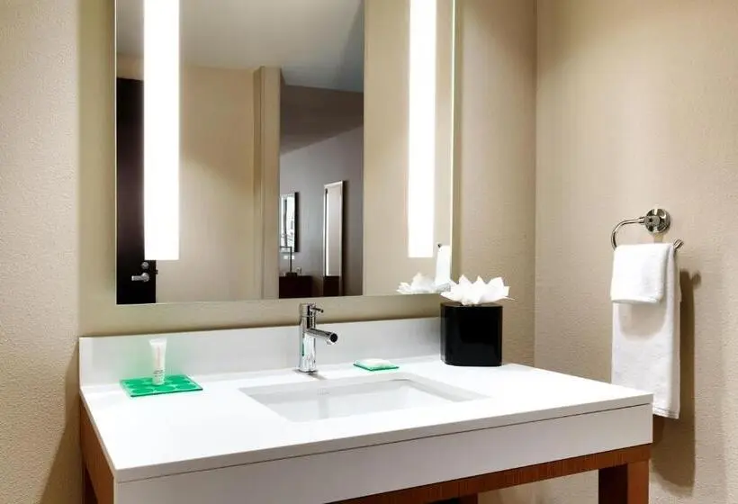 اتاق استاندارد با تخت بزرگ برای معلولان, Hyatt Place Provo