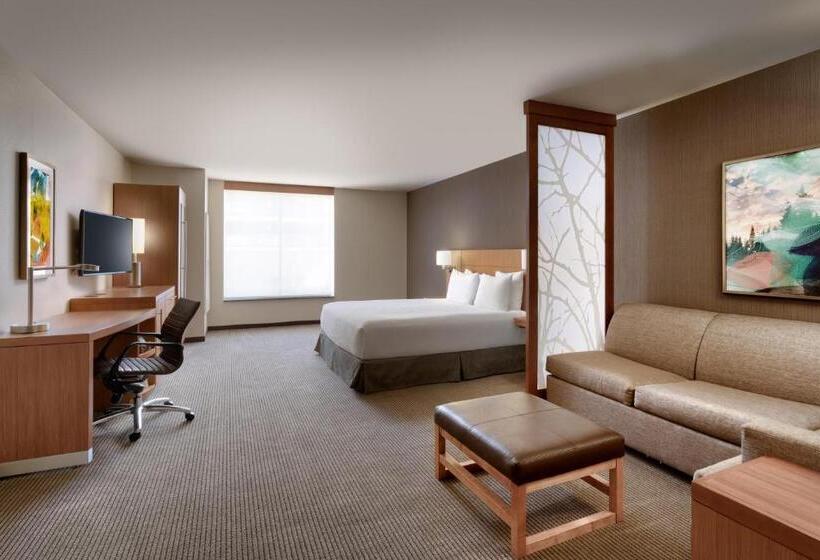 غرفة قياسية سرير كينج لذوى الإحتياجات الخاصة, Hyatt Place Provo