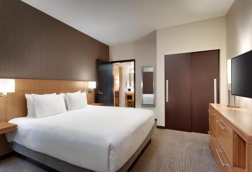جناح سرير كينج, Hyatt Place Provo