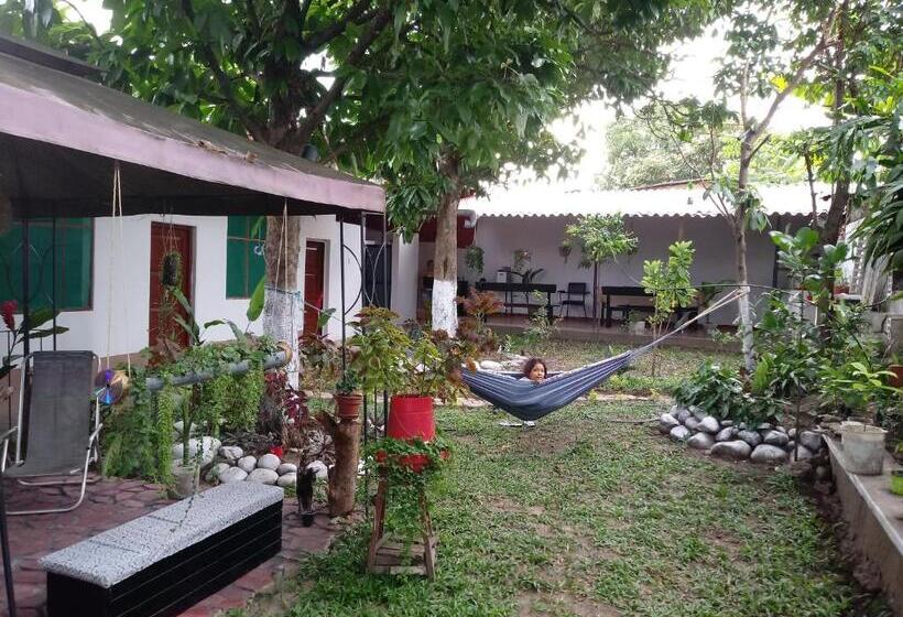 Кровать в Общей Комнате, Kitara House Backpackers Hostel