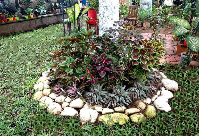 Номер Стандарт, Kitara House Backpackers Hostel