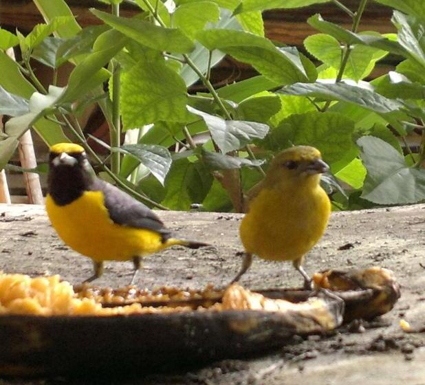 Номер Стандарт, Kitara House Backpackers Hostel