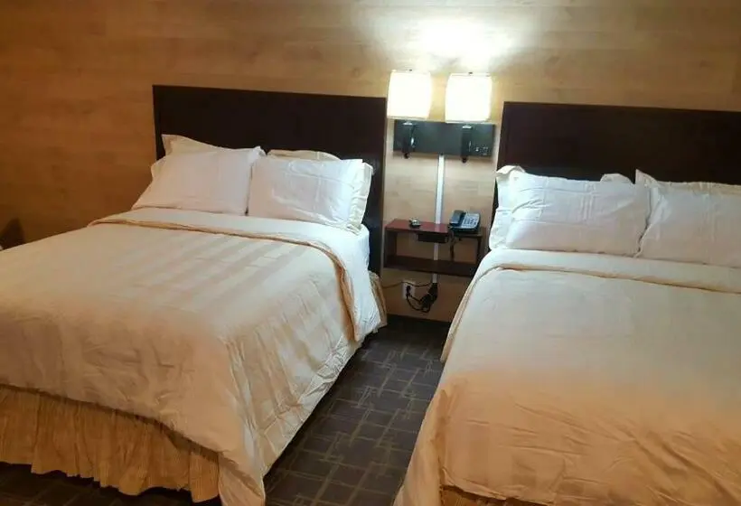 デラックスルーム, Stucco Lodge