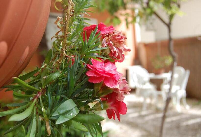 חדר סטנדרט עם מיטת קינג, Casa Satta 1925