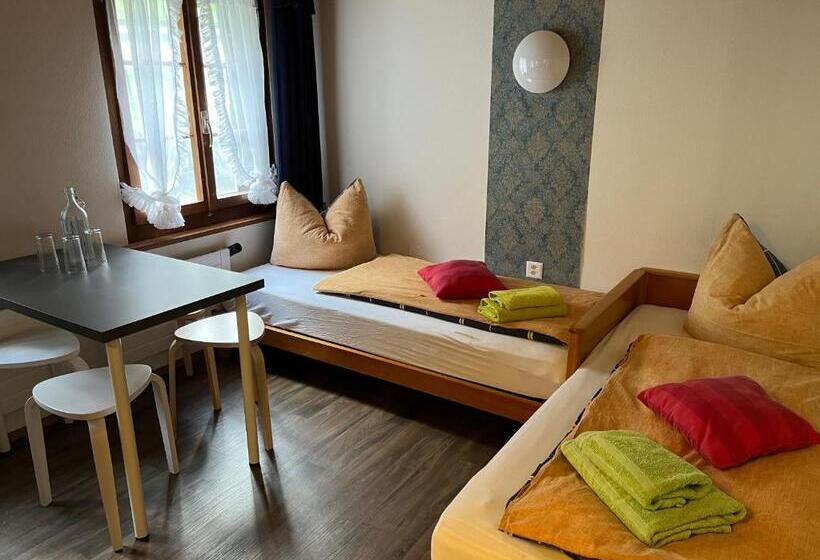 Четырехместный Номер Классик, Terrasse Nessental