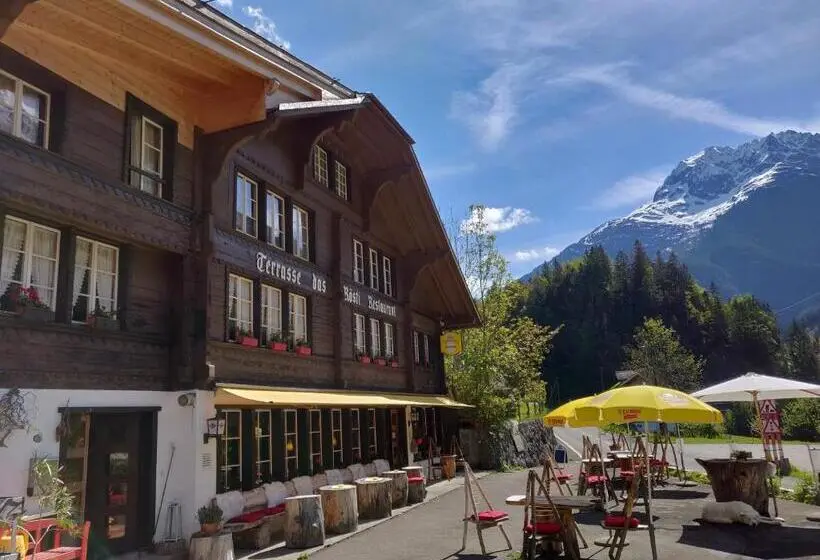 エコノミールーム, Terrasse Nessental
