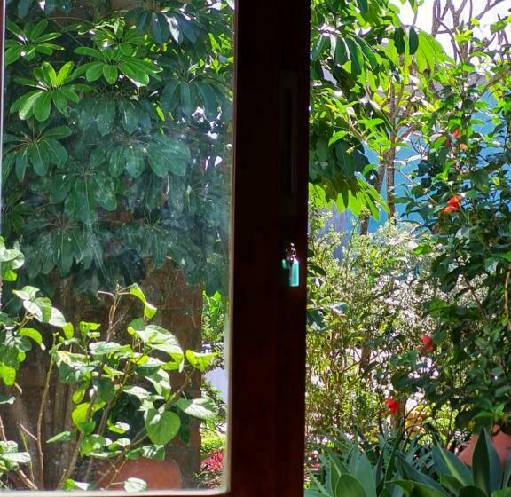 Номер Deluxe Кровать Кинг, Jasmimanga Pousada