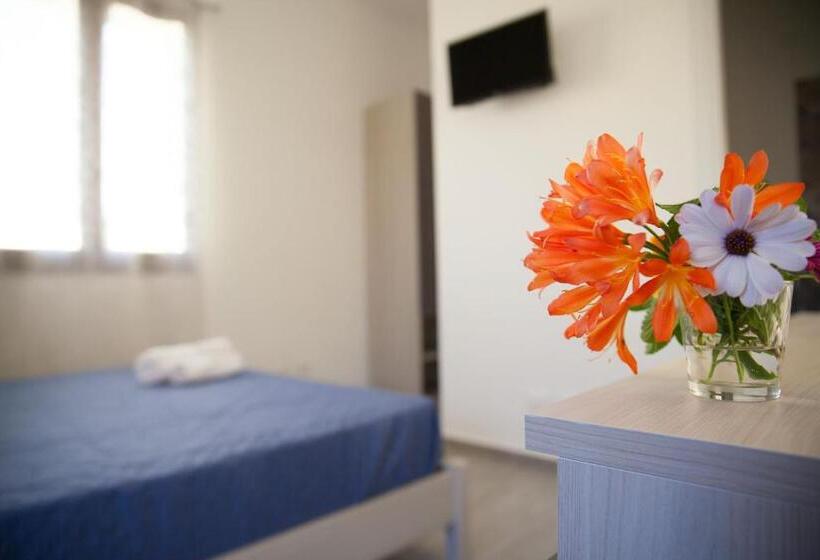 스탠다드 룸, Amaka