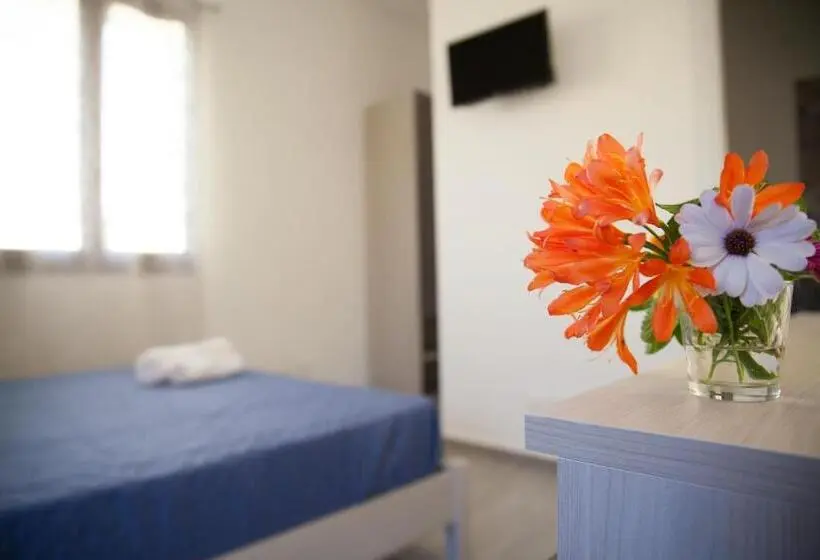 Habitació Estàndard, Amaka