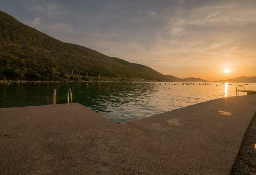 آپارتمان 1 خوابه با تراس, Villa Jazina Pavlović