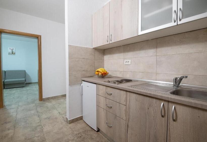 آپارتمان 1 خوابه با بالکن, Villa Jazina Pavlović