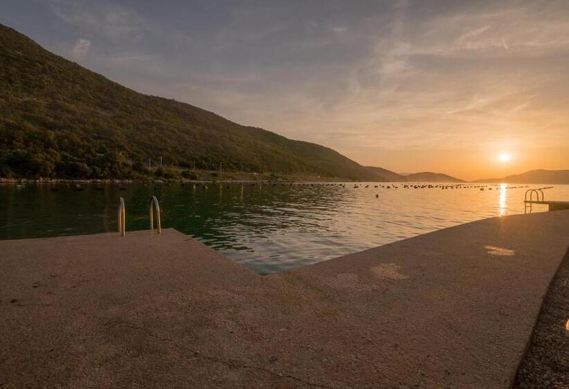 آپارتمان 1 خوابه با بالکن, Villa Jazina Pavlović