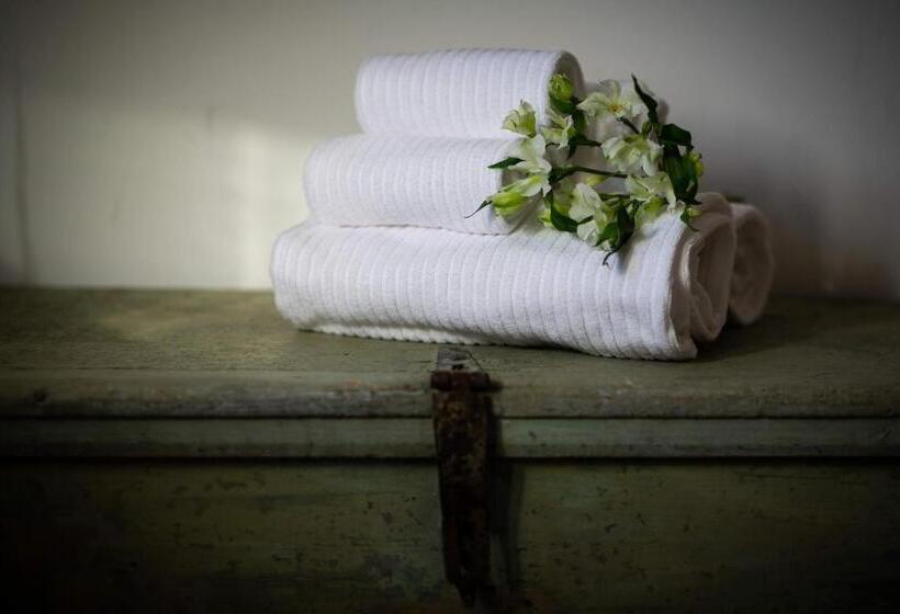 اتاق استاندارد, Torrione Trento