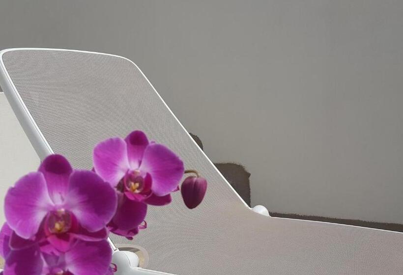 带露台的套间, Torres Suite