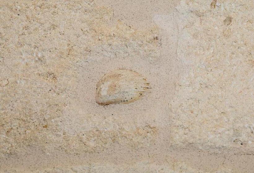 带露台的套间, Torres Suite