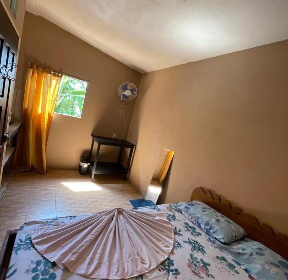 اتاق استاندارد با سرویس بهداشتی مشترک, Pura Vida Hostel