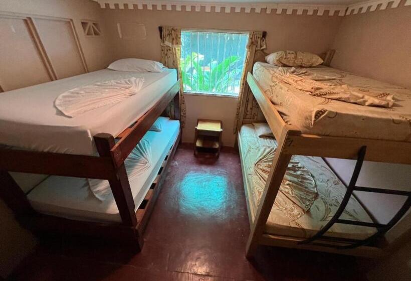 تختخواب در اتاق مشترک, Pura Vida Hostel