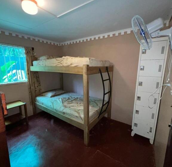 تختخواب در اتاق مشترک, Pura Vida Hostel