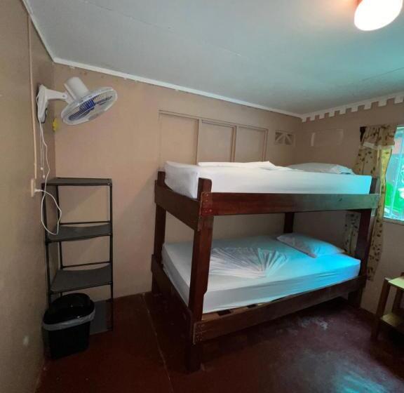 تختخواب در اتاق مشترک, Pura Vida Hostel